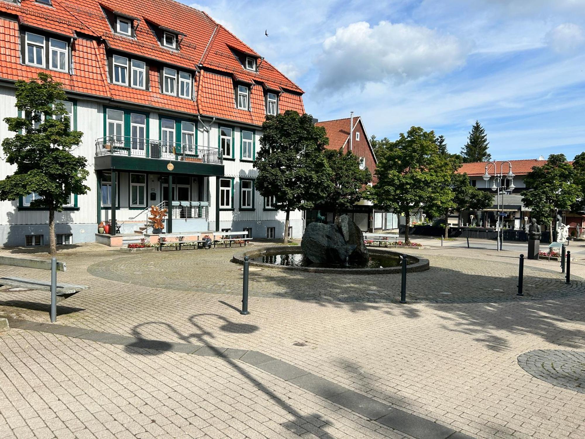 ferienapartment hahnenklee Apart 1 Goslar Exterior foto